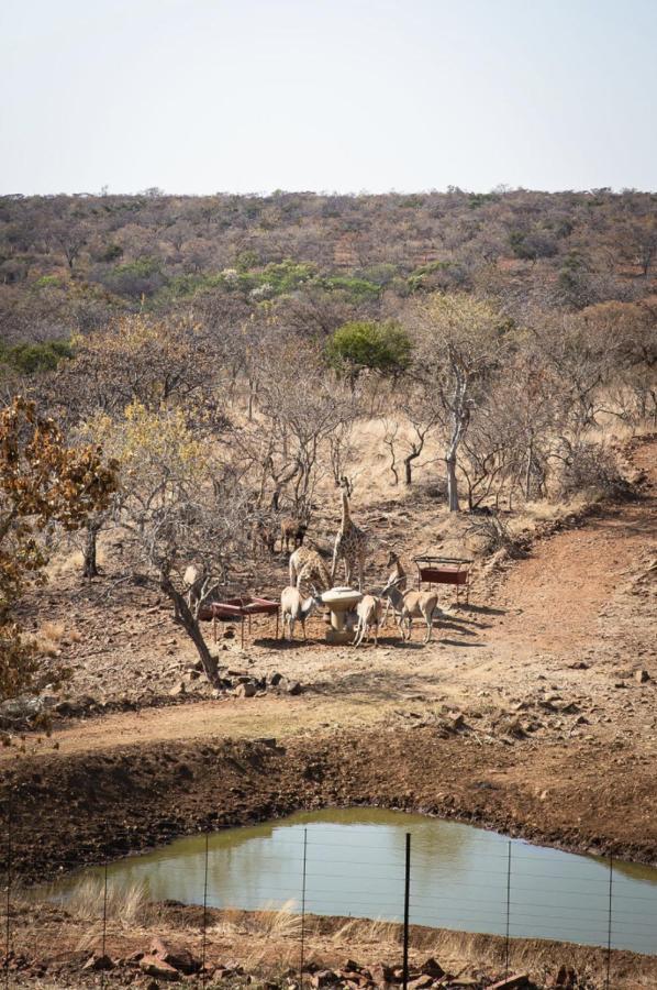 Tholo Manzi Private Game Farm Villa Zeerust Exterior foto